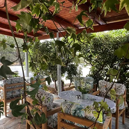 Ocean Front 77 公寓式酒店 4*