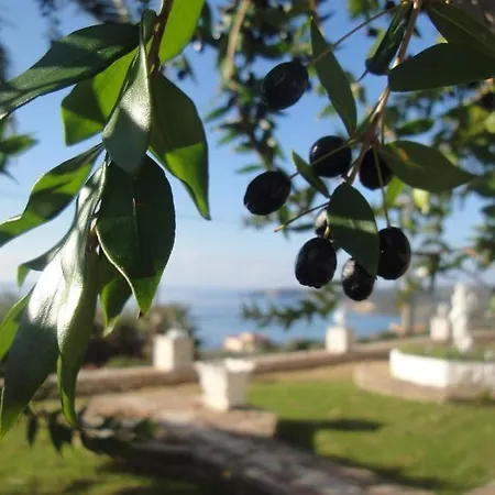 公寓式酒店 Ocean Front 77