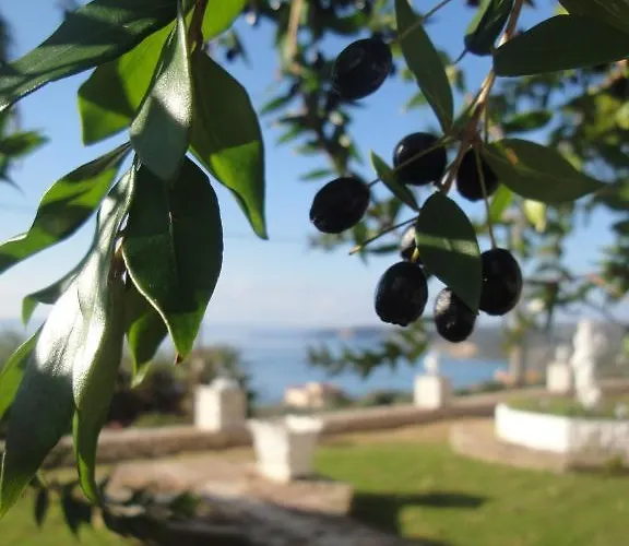Ξενοδοχείο με διαμερίσματα Ocean Front 77